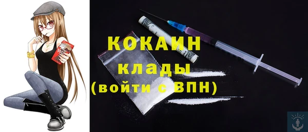 мдпв Богородицк
