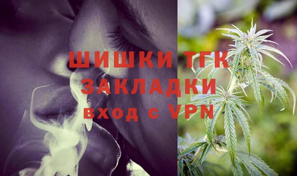 мдпв Богородицк