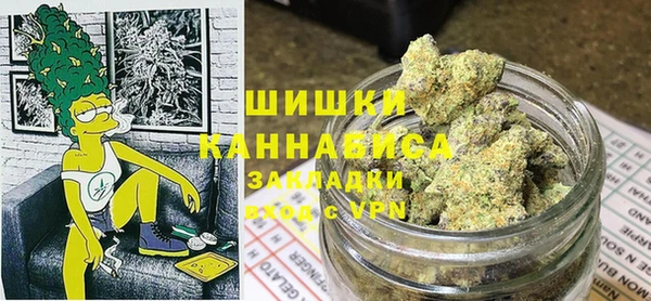 мдпв Богородицк